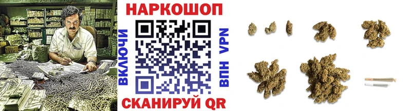 Виды наркотиков купить Андреаполь КОКАИН  Конопля  Меф мяу мяу  А ПВП  Кодеин  ГАШ 