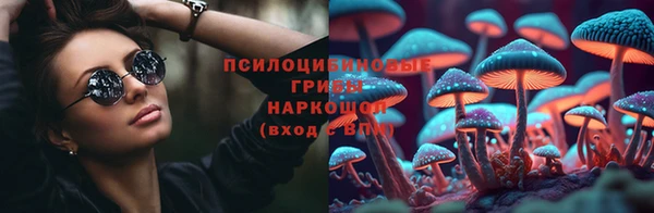 соль ск Алексин